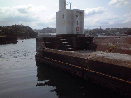 小アジ　サヨリ等